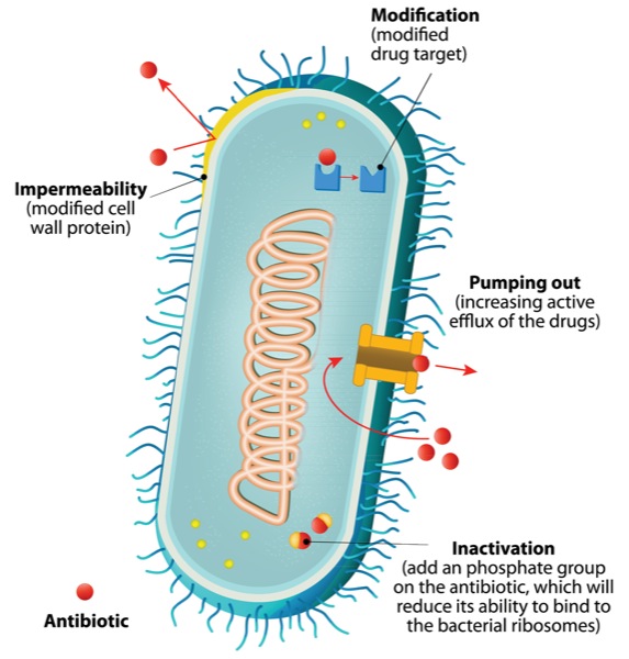 New Antimicrobials: Where They Fit Within The Armamentarium