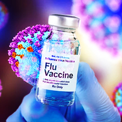 2024-2025 Flu Vaccines Removing B/Yamagata Influenza Virus Strain